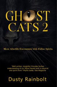  ghost cat 2 cover thumbnail